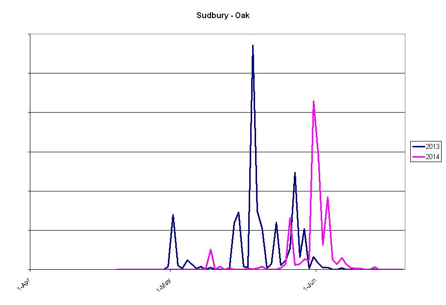 Sudbury-Oak-line-graph