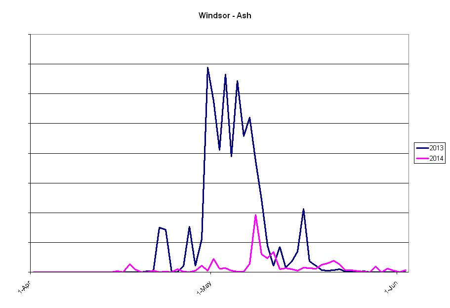 Windsor-Ash-line-graph